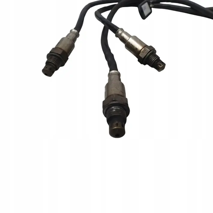 608f5000a2487fd23f28b1289b8950e1