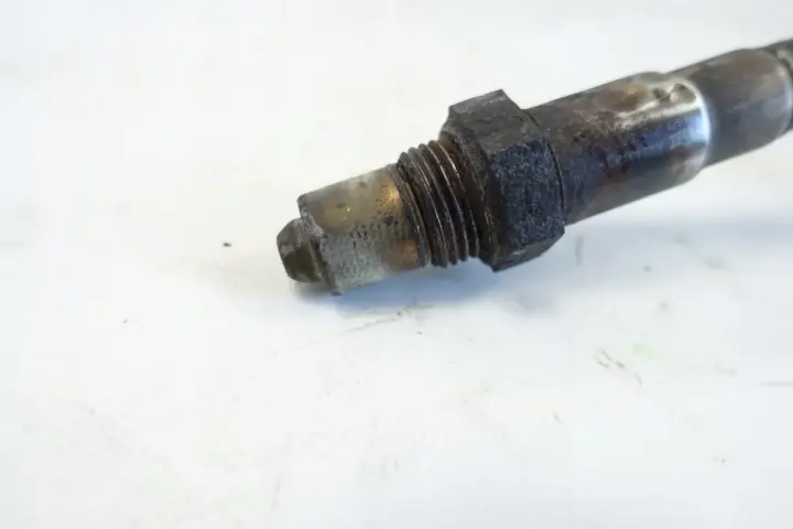 31774dcd10808b034b3d40582f40e2e7