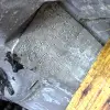 ad8762eef024b304afc01260e5ace679