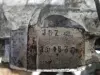 af268ba3f35fa32acdca863c938682c5