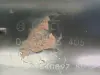 01a80a07bc798060f3215f93ff2be7fa