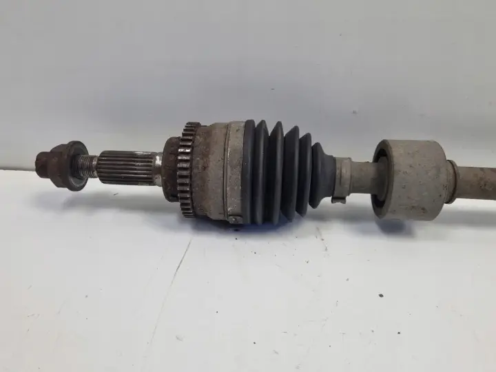 8501835ac5696b64167f6063c4964998.jpg