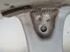 2cc83fda2f847afe058c91a87a135196