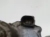 e7d629e4bf90528196bd0a506215d214