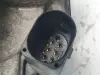 af28e2540a544e03f87cb3aa21216328