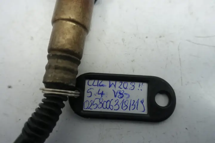 6aee9d98935bb260a9dc8ff61624e2b2