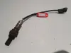 60e10779eb0966e3bb44a860dc00dd30