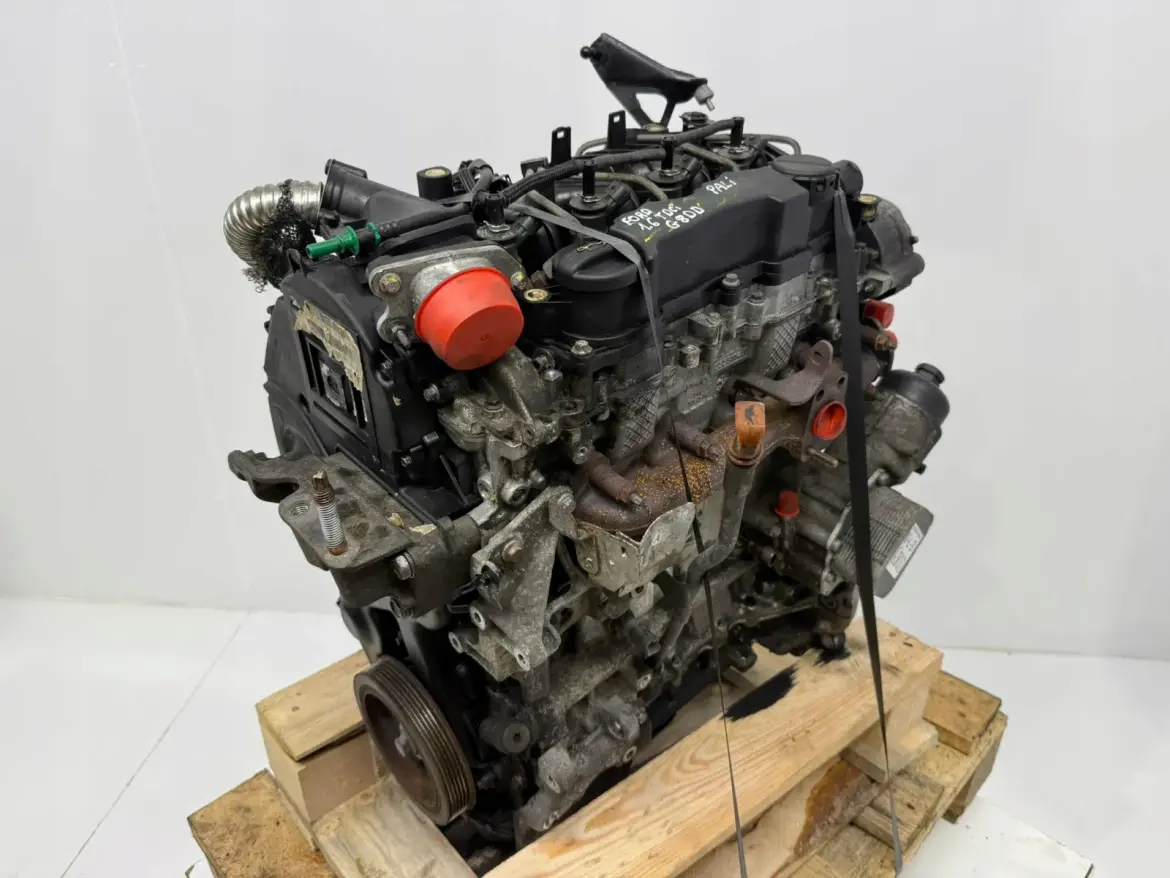 dbf50ba78540257d283542d0b81f6976