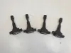 9fd6253d03f1d62b5f1f73c1e0c9fca1