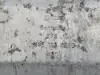 8ec133da213c1cfb3ccdab95488ec5ae