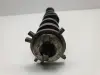d43866109c61c5873aea446704883322