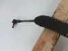 33437a75f29fc8a314503ffce88184a9
