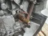 7df7ab2baeae3f41be0f5e36e6b19dc0.jpg