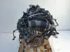 aeafcf6c6d8002be14ff1c77b8dbb854