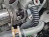 ada83882ee8b1f6660755ae83d12424d.jpg