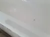 a39cf0d39127b6ead4e6aa19c031ef2a