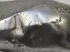 0f2257f38507362f3161097548084311