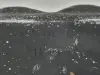 f66073e015942cabc5adf6b7b6ebffa9