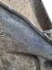 3c8f8edff5c985bbe239eae1a0a8df25.jpg