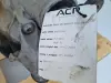 b4dc4de980cd53dda0204bb49bfff9e7.jpg