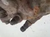 7e5be004e3c9938baaa8b5855009d35c.jpg