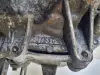 df406df8e9373f9db10e74a4e8346173