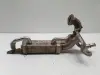 e90b51e442a88cc755a20b36695a5681