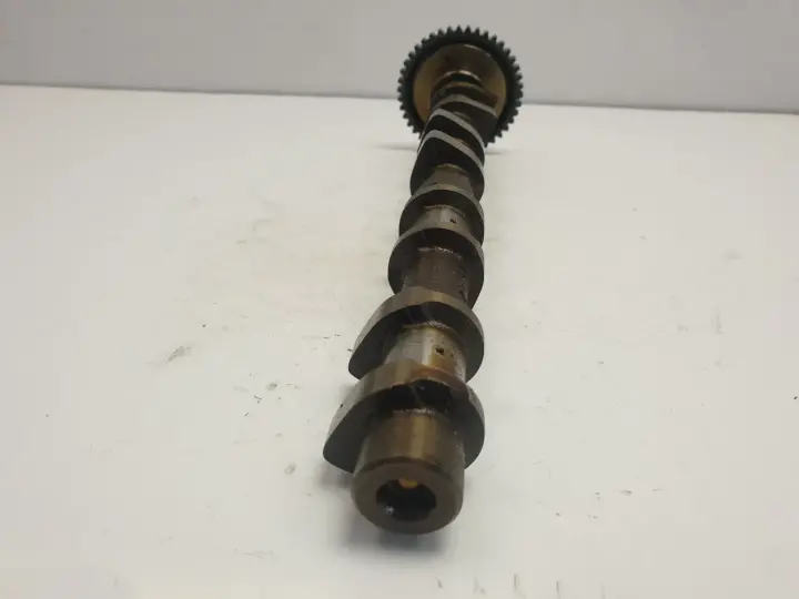 75e1404deac4f380edf5b91a6f529193