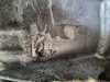 f4788d23dae13b67c3cdf642d7aaee58
