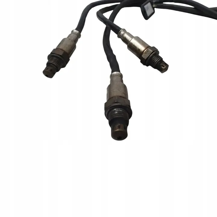 608f5000a2487fd23f28b1289b8950e1