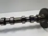 f707c508e1e5600eb3536fb1ec859f7b