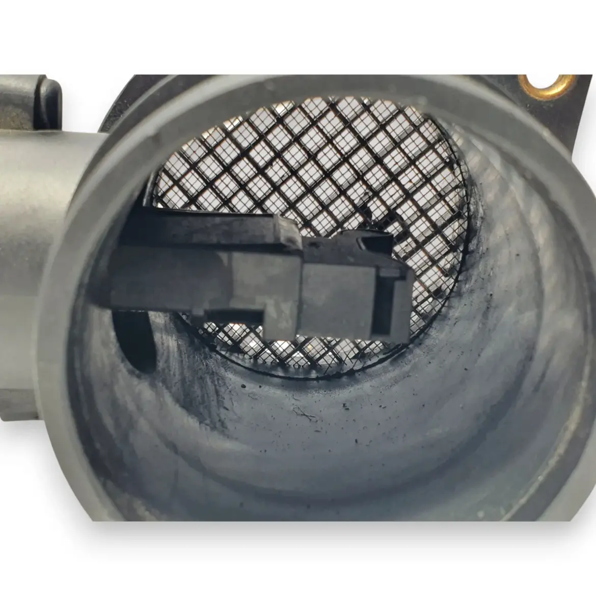 b781f0c9a4c8100461f5bbce62d7a77f