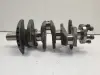 8783c37529bec09c21cc445ac19b13df