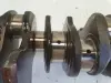 f961900660bcb97009270f2cd00d346a