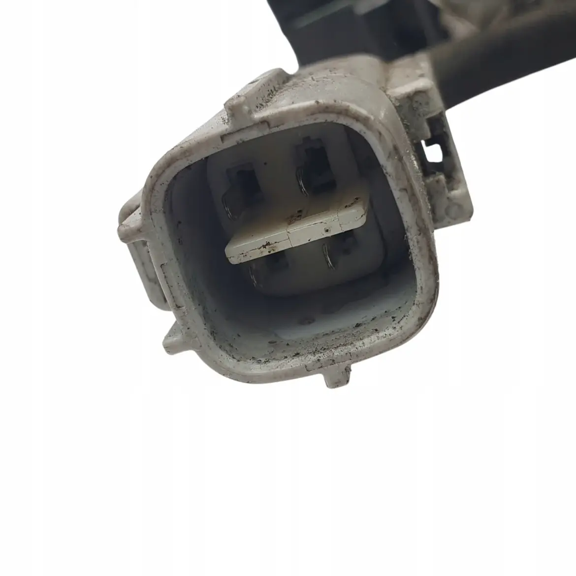 5025d36237081d5fba252c52126dbf3d