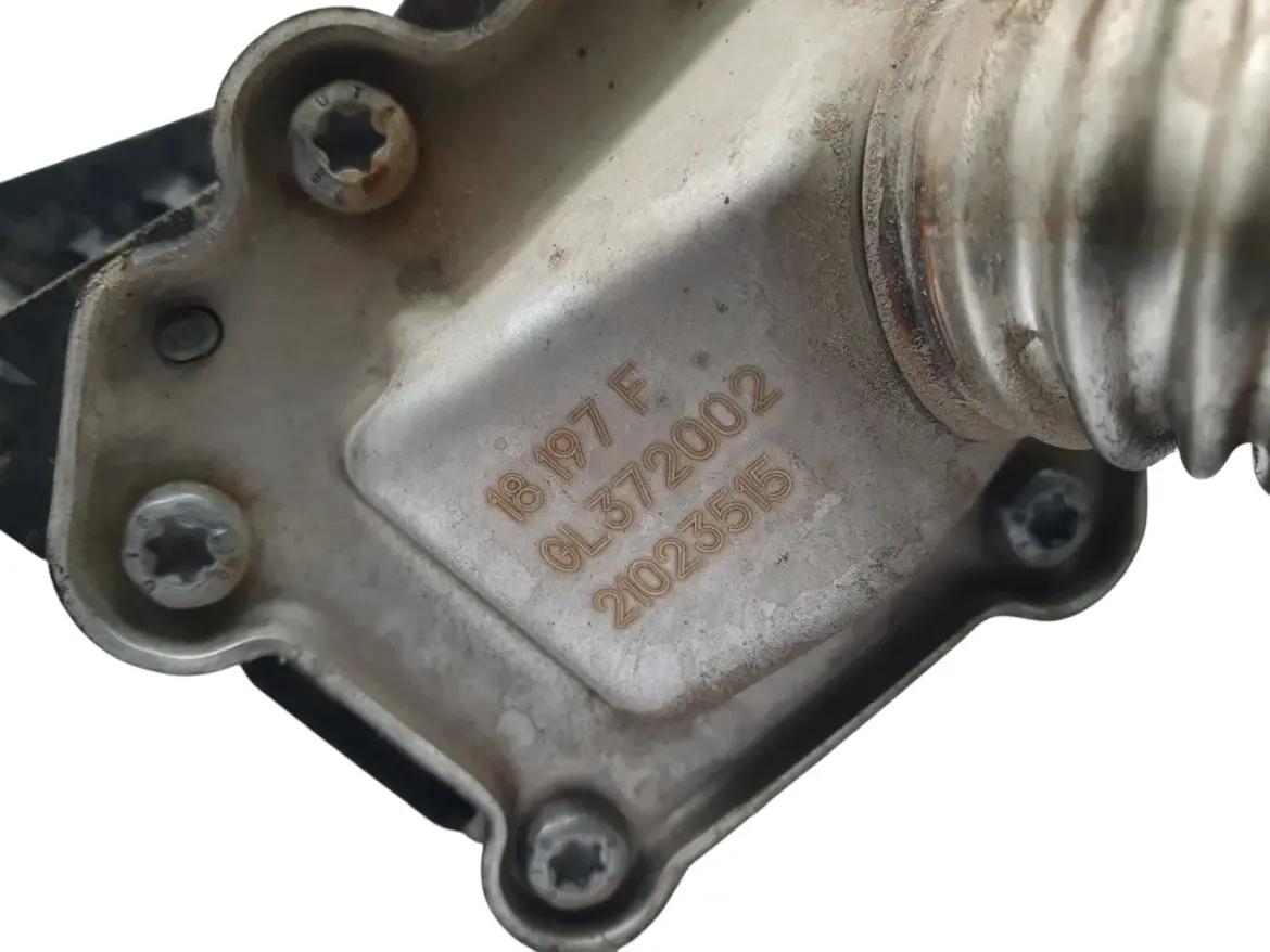 31cb05be806bca8caec1a0a969aef8d7