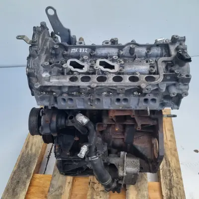 7b650d6e9adaa83ffe07c7773558891f