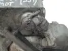 2e597d46e685df341e547da684514471