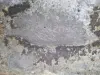 fb8a7b8b64a9578f73ebf24373adb3c0