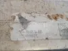 91f2189d3732d6e98f08267a1c8dd014