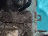 07950c168c15952d53230cc0b1bd8446
