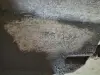 52fc49e16fa7930b2f70d5fc9b723956