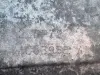 c12372a94e503813fe45f4851c445e02.jpg