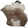 b9b0162c044a708303338c99411bd228