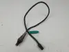 cd8e62350ba8f9672a54ab1b1599bedb