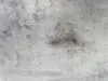d27f3d1df01c48719c1d3b44d955dc68