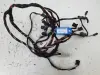 d110b1f7b8d2c1dae1e301122cca7d4a