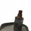 0b925f043c69c7020f3c6d2656fcbd70
