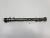 8e2970d698e829d519a2d8116415f14d
