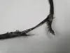98da592121d27113ae6fcd75f3d74107
